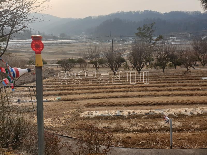 지평면 무왕리 영구조망주택_10